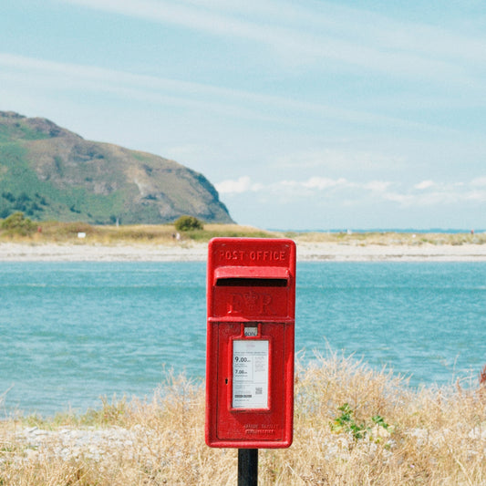 DELIVERY FEE CHINA國內郵寄